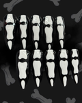 Spooky Scary Skeletons
